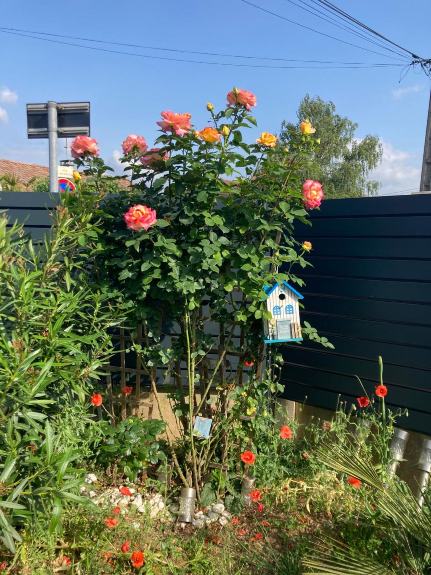 Au Calme Dans Maison En Rez De Jardin A 2,2 Kms Du Groupama Stadium Et Salle Ldlc Arena Meyzieu Luaran gambar