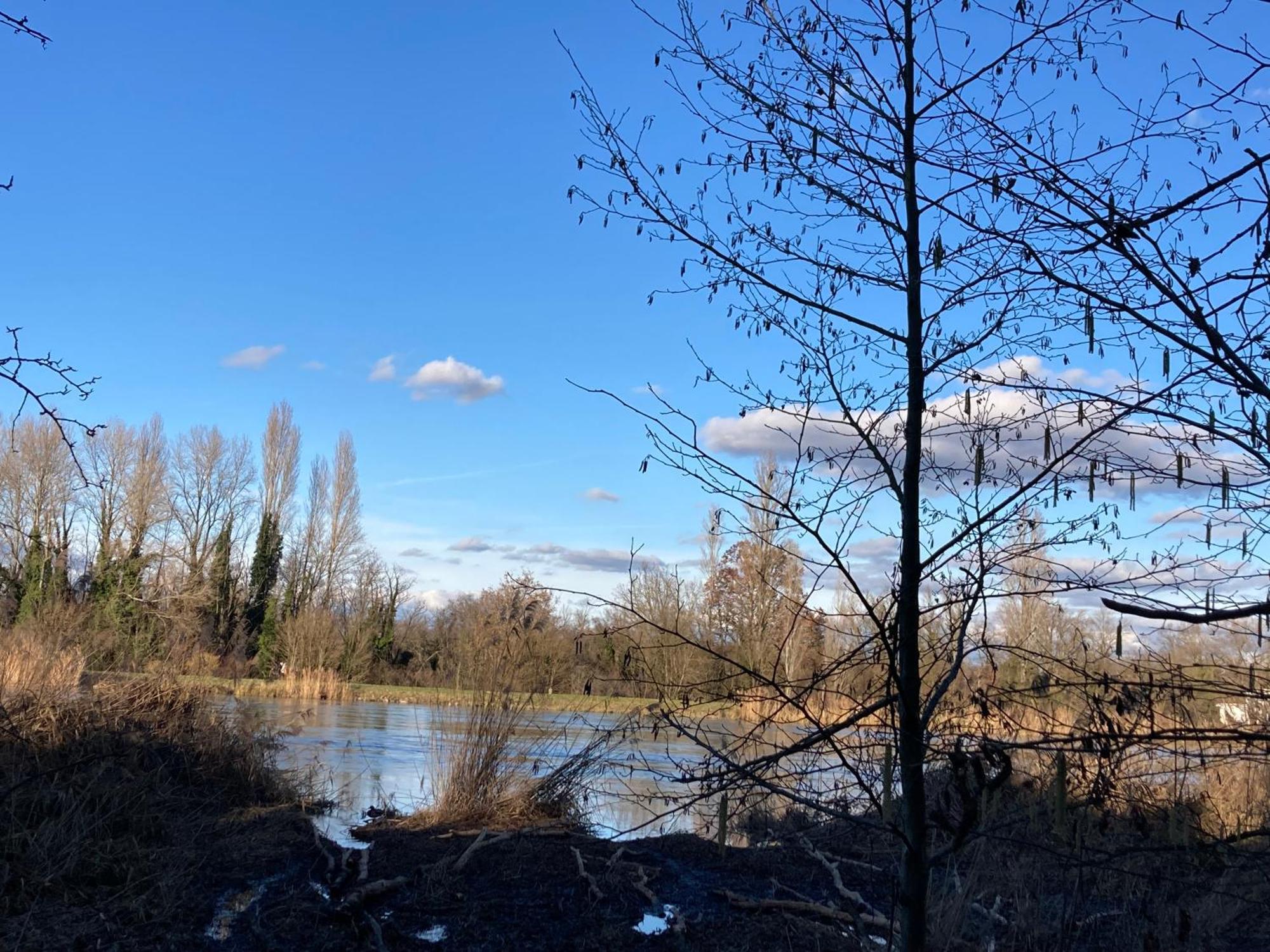 Au Calme Dans Maison En Rez De Jardin A 2,2 Kms Du Groupama Stadium Et Salle Ldlc Arena Meyzieu Luaran gambar